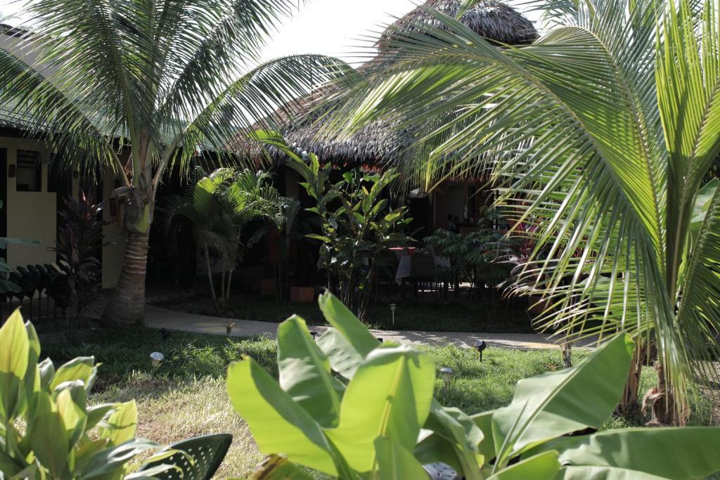 Hotel Amazon Bed And Breakfast Λετίσια Εξωτερικό φωτογραφία